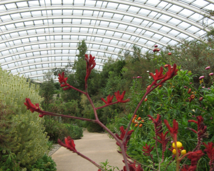 The National Botanic Garden of Wales (Carmarthenshire)