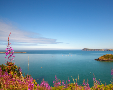 Wandelen Pembrokeshire National park (Pembrokeshire)