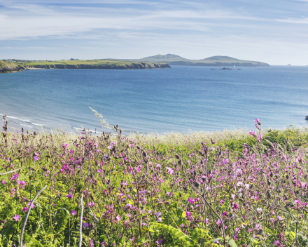 Pembrokeshire Nationaal wandelpad