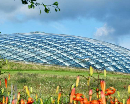 The National Botanic Garden of Wales (Carmarthenshire)